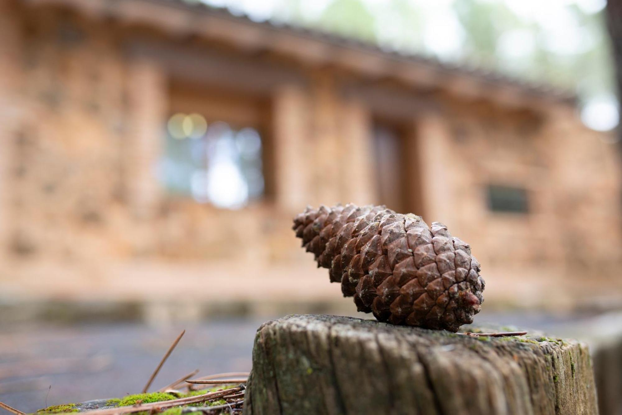 Riopar, Luxury In Nature